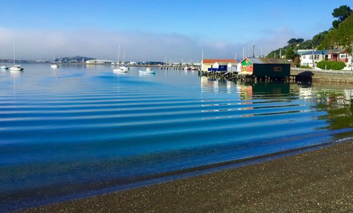 RedHot Property Management Ltd